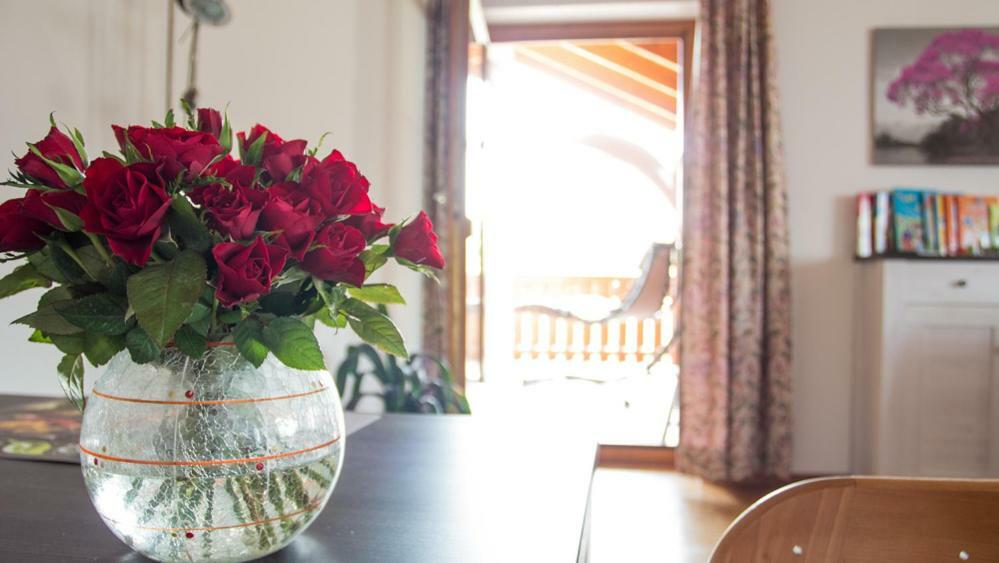 Auszeit-Wohnungen Aidenbach Ngoại thất bức ảnh